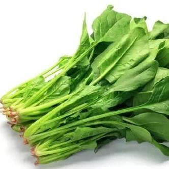 菠菜