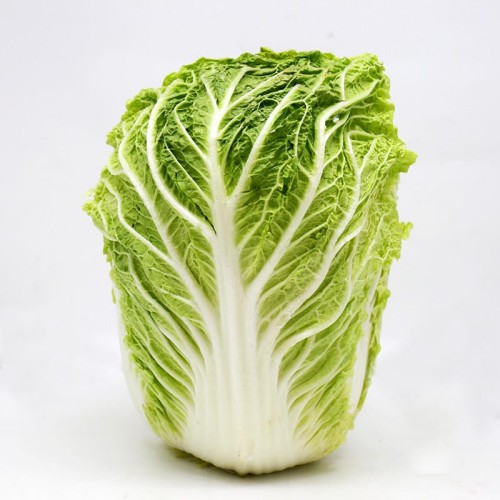 大白菜