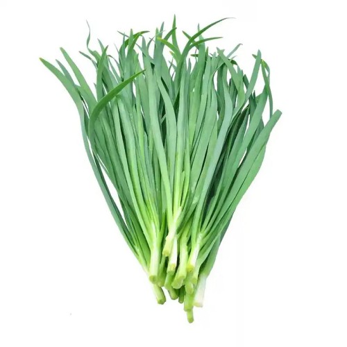 大韭菜