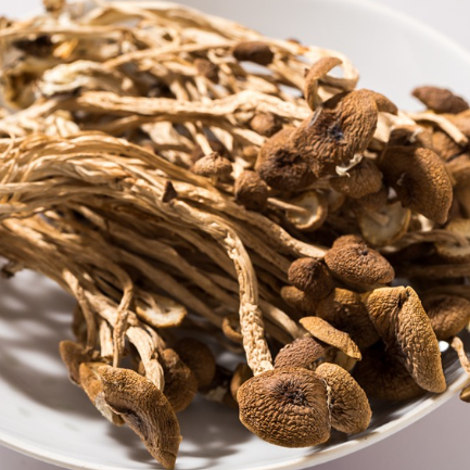 茶树菇5kg/件